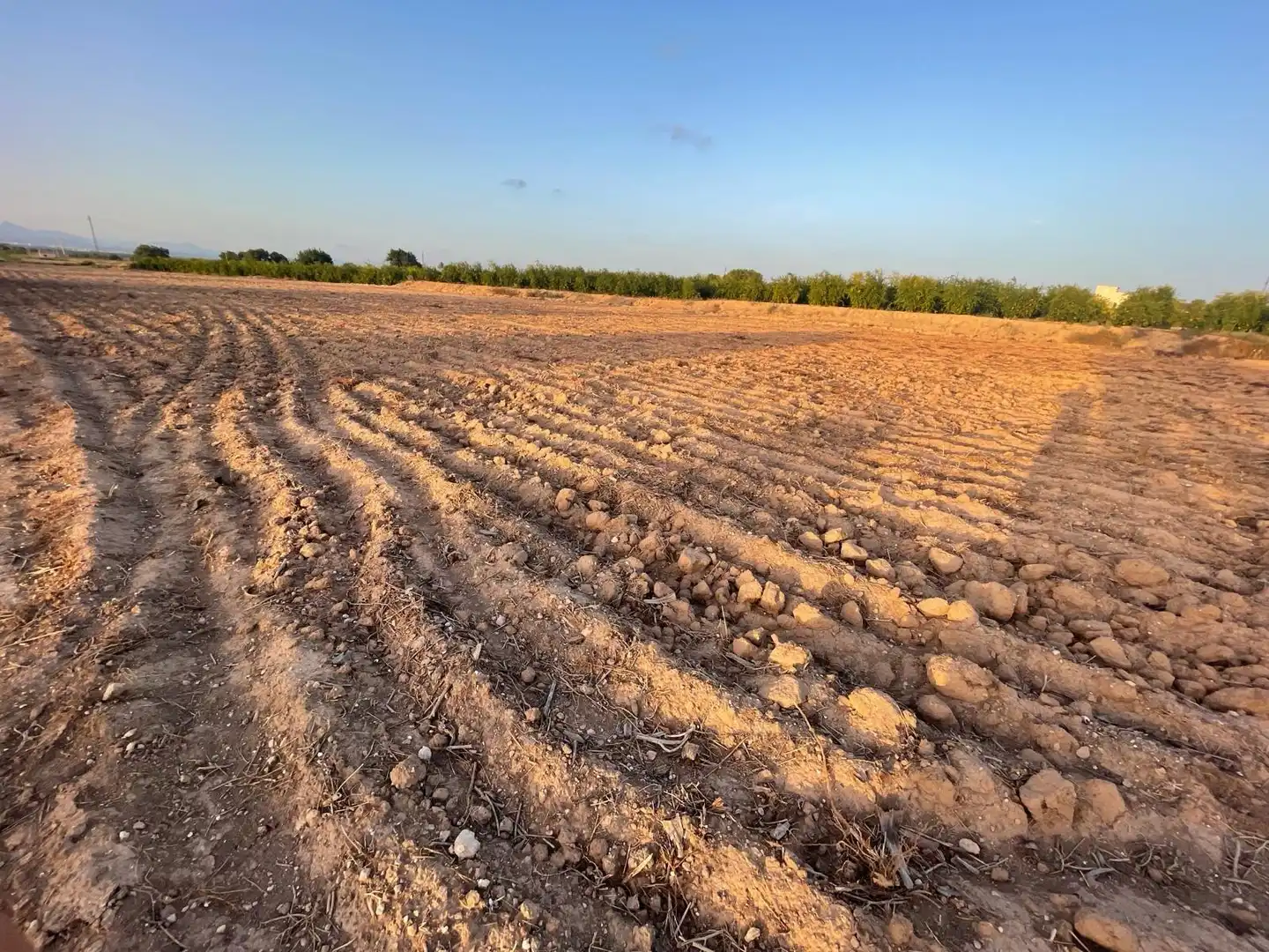 Terrain rustique à vendre à La Foia - Daimés - Asprella, imagen 12