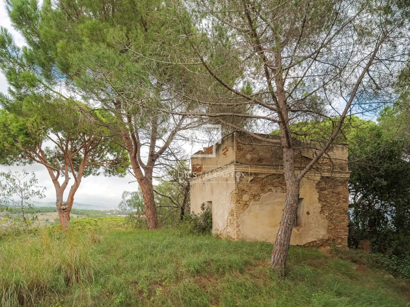 Terrain rustique à vendre à Victoria - Les Vil·les - Canyadell, imagen 13
