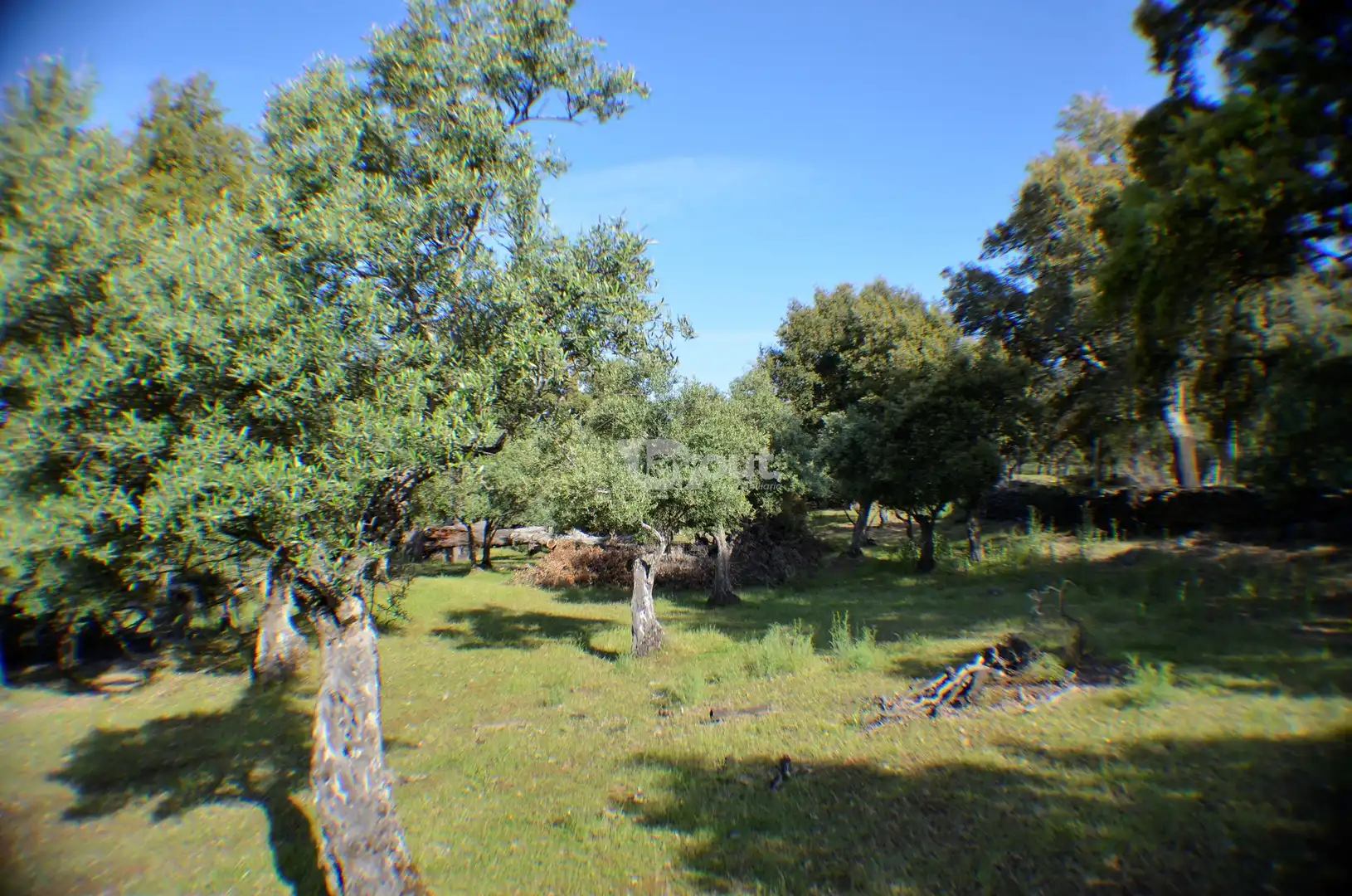 Terreni e lotti in vendita a Espinaqueras, imagen 6