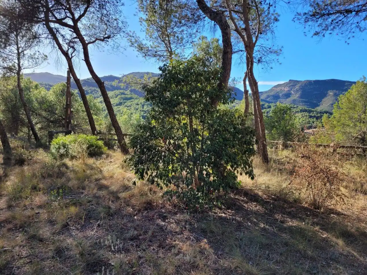 Casa o xalet en venda en Vacarisses amb Aire condicionat, Jardí privat i Piscina