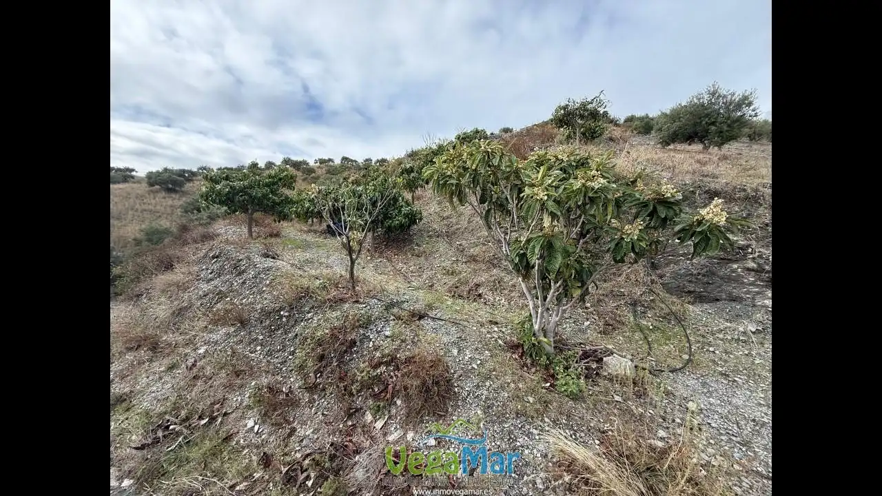 Terreny rústic en venda a Polígono 4, imagen 19