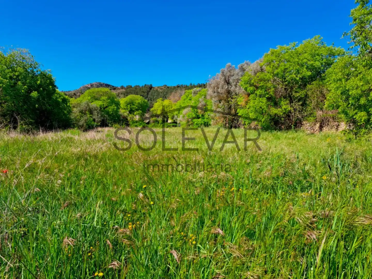 Terreno en venta en Salàs de Pallars