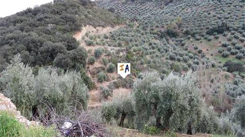 Foto 2 de Finca rústica en venda a Fuensanta de Martos, Jaén