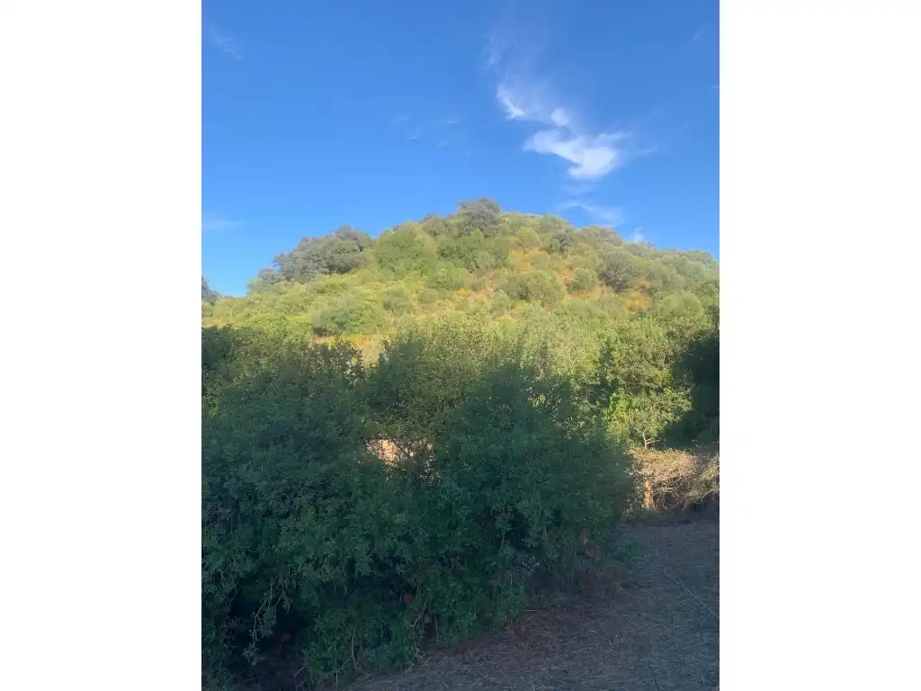 Residential for sale in Morón de la Frontera