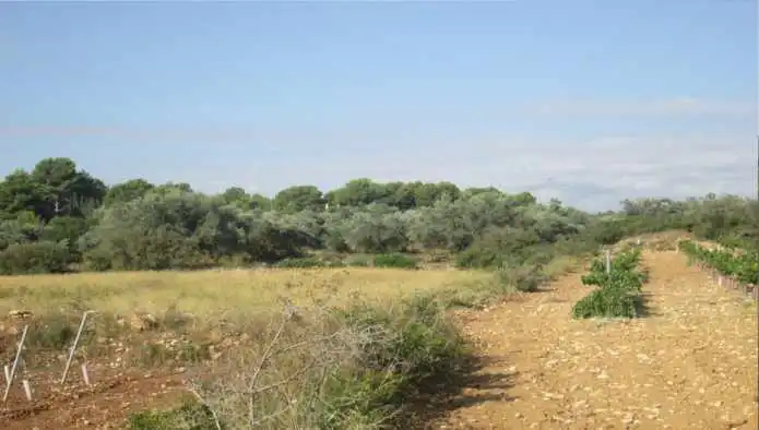 Terrain rustique à vendre à Pj Horquera y Pd Balsica - Montehorquera Golf -, imagen 11