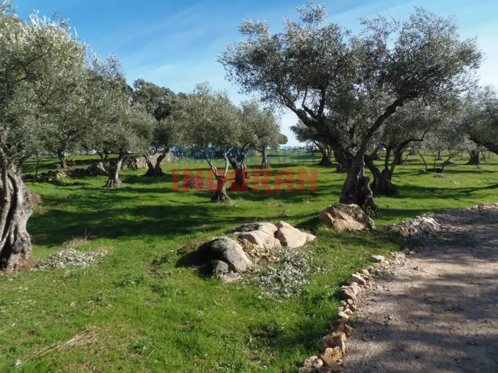 Casa rústica en venda a Belvís de Monroy, imagen 4