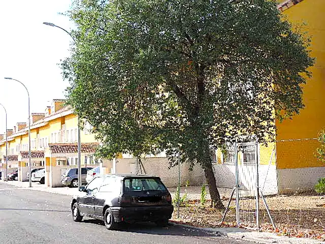 Appartamento in vendita a Esquivias, imagen 3