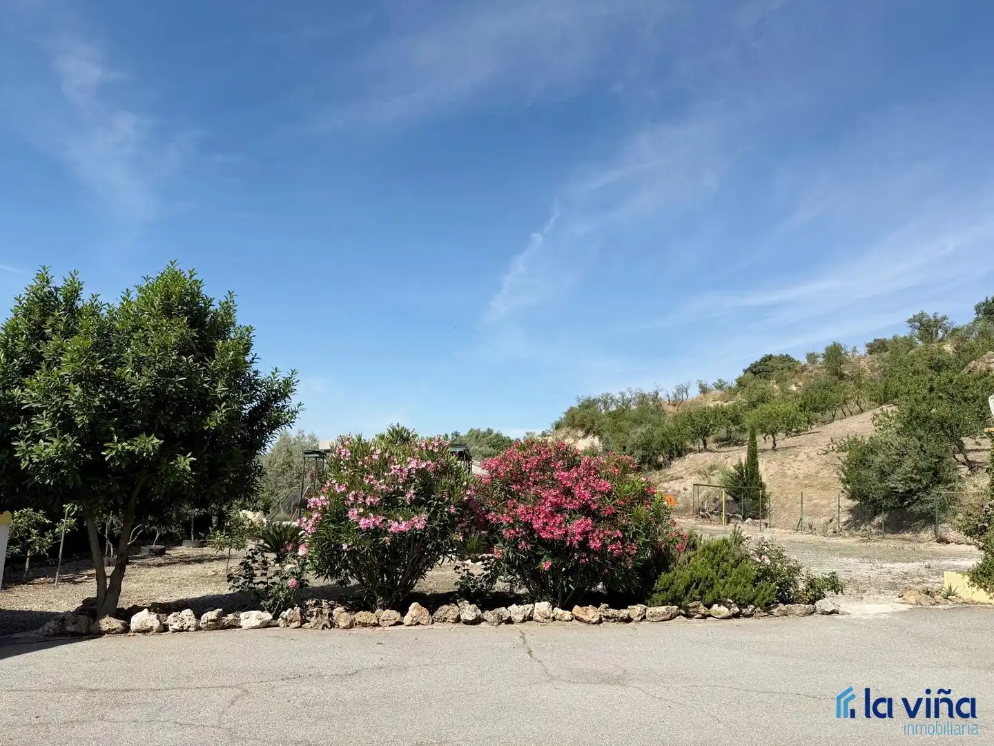 Chalet con jardín en venta en Calle Granada, imagen 21