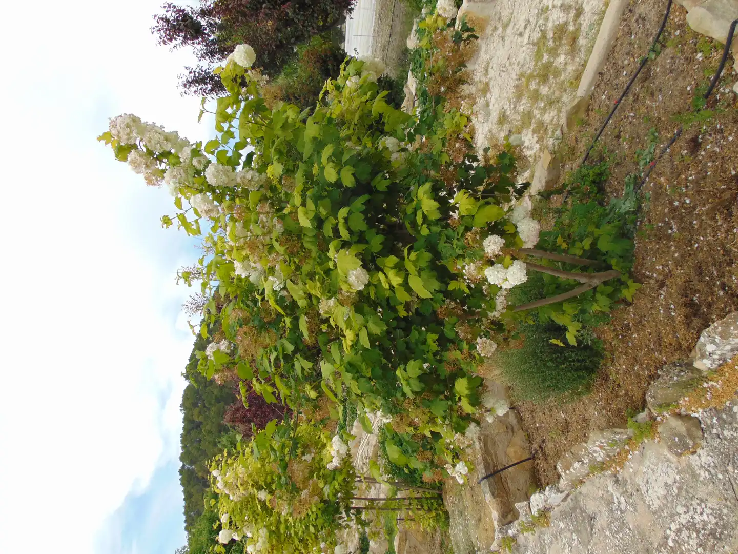 Casa rustica con piscina in vendita a Partida Polop Baix, imagen 120