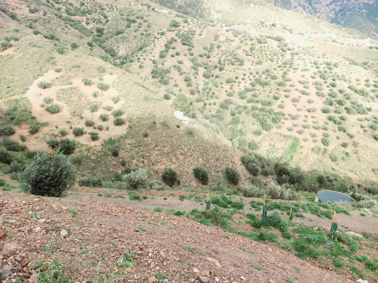 Terrenys i solars en venda a Canillas de Aceituno, imagen 7