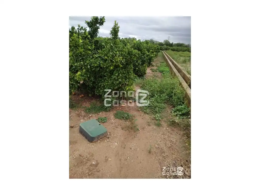 Country house for sale in Algemesí, imagen 2