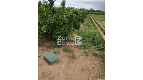 Finca Rustica  Venta Algemesí, imatge 2