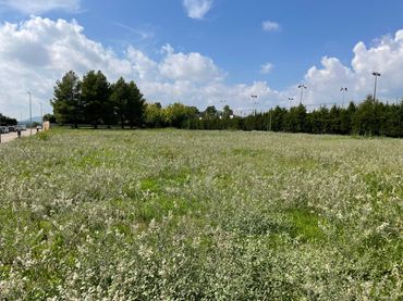 Residential land for sale in Pacs del Penedès