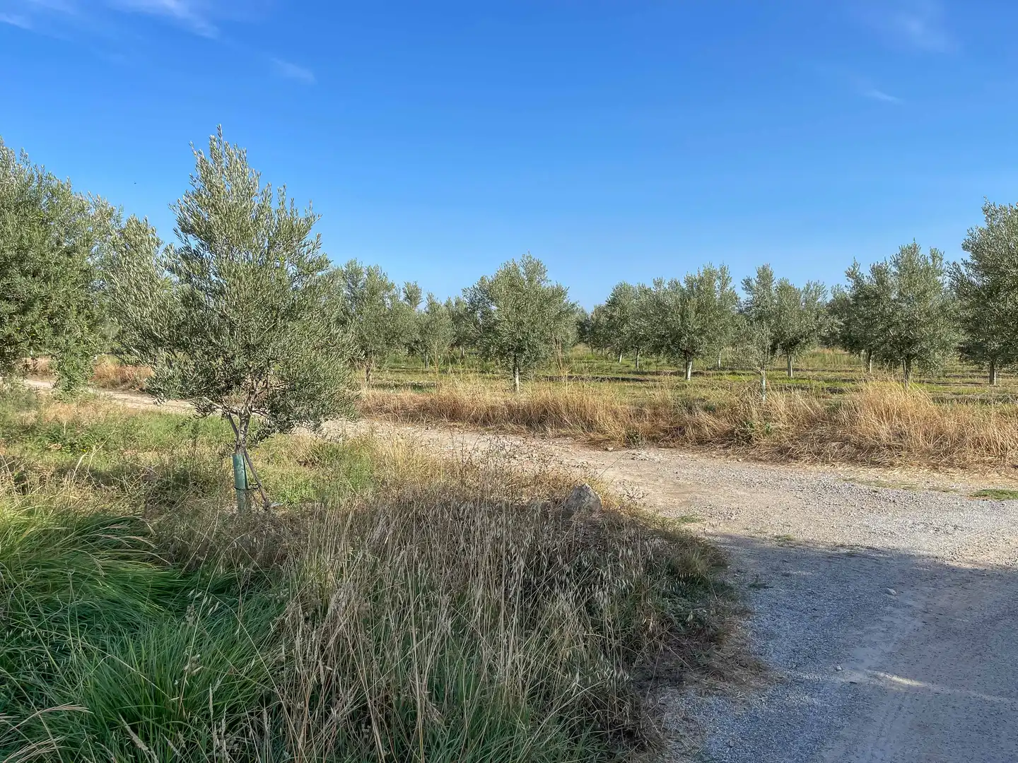 Terreni e lotti in vendita a Villa de Otura, imagen 18