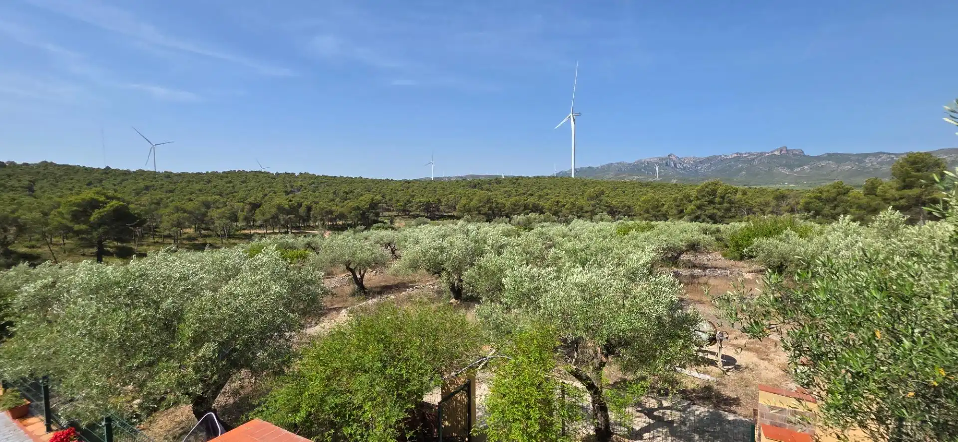 Casa rustica con piscina in vendita a El Perelló, imagen 38