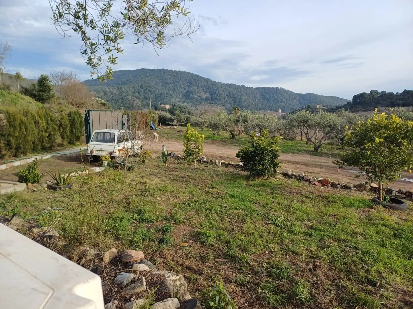 Land for sale in Maspujols
