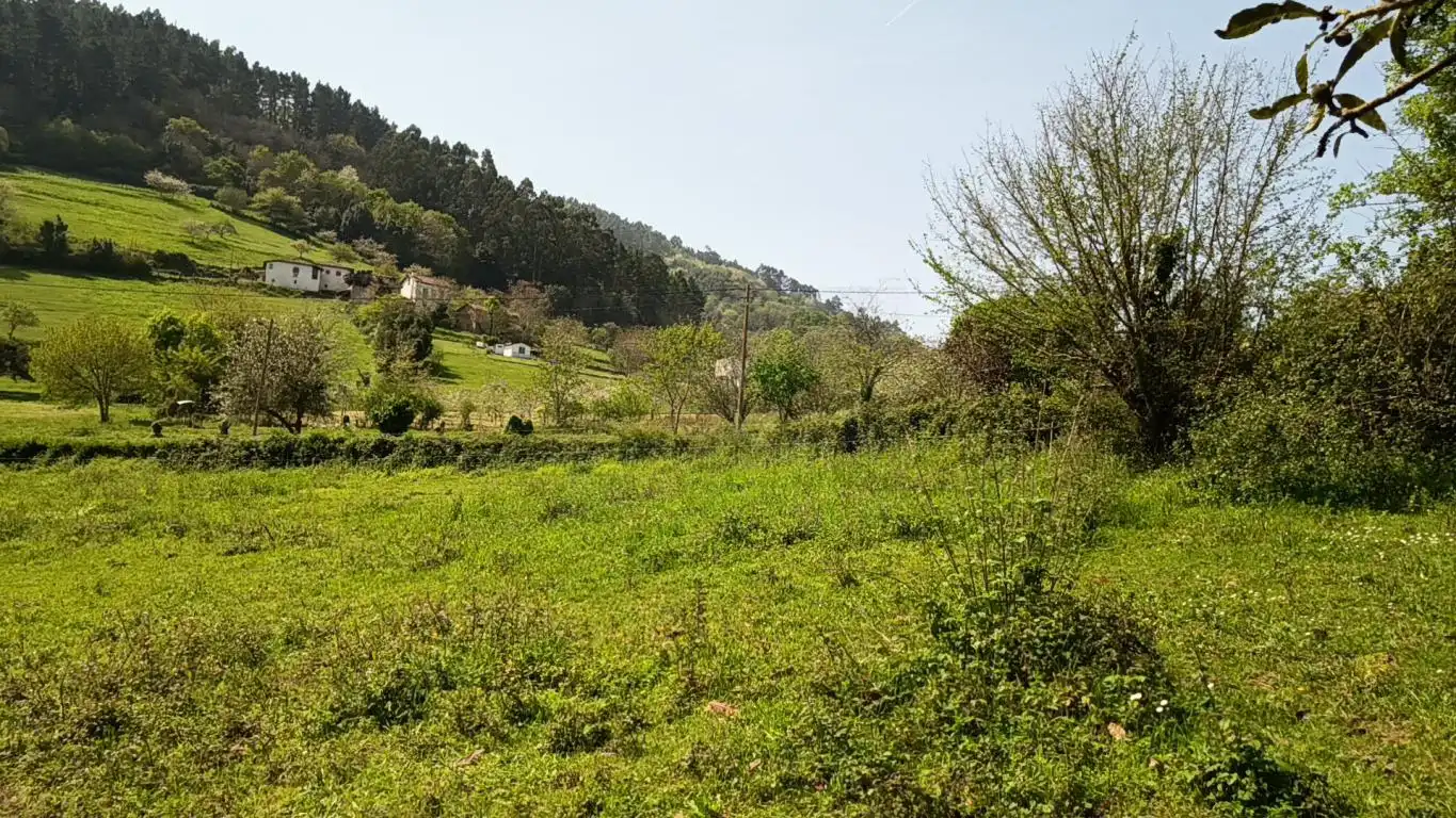 Terreno residencial en venta en AS-39, imagen 19