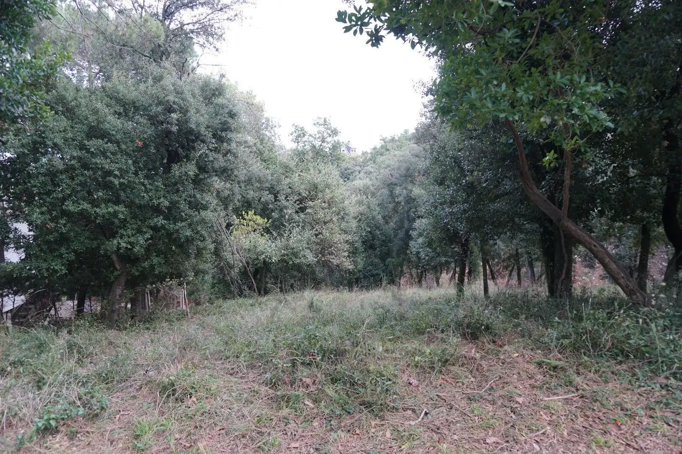 Terreny residencial en venda a Sant Pere de Vilamajor, imagen 2