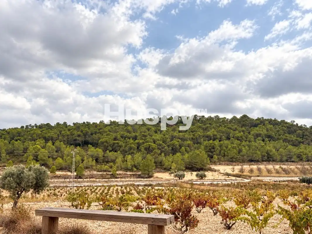 Casa o chalet en venta en Abanilla, Murcia