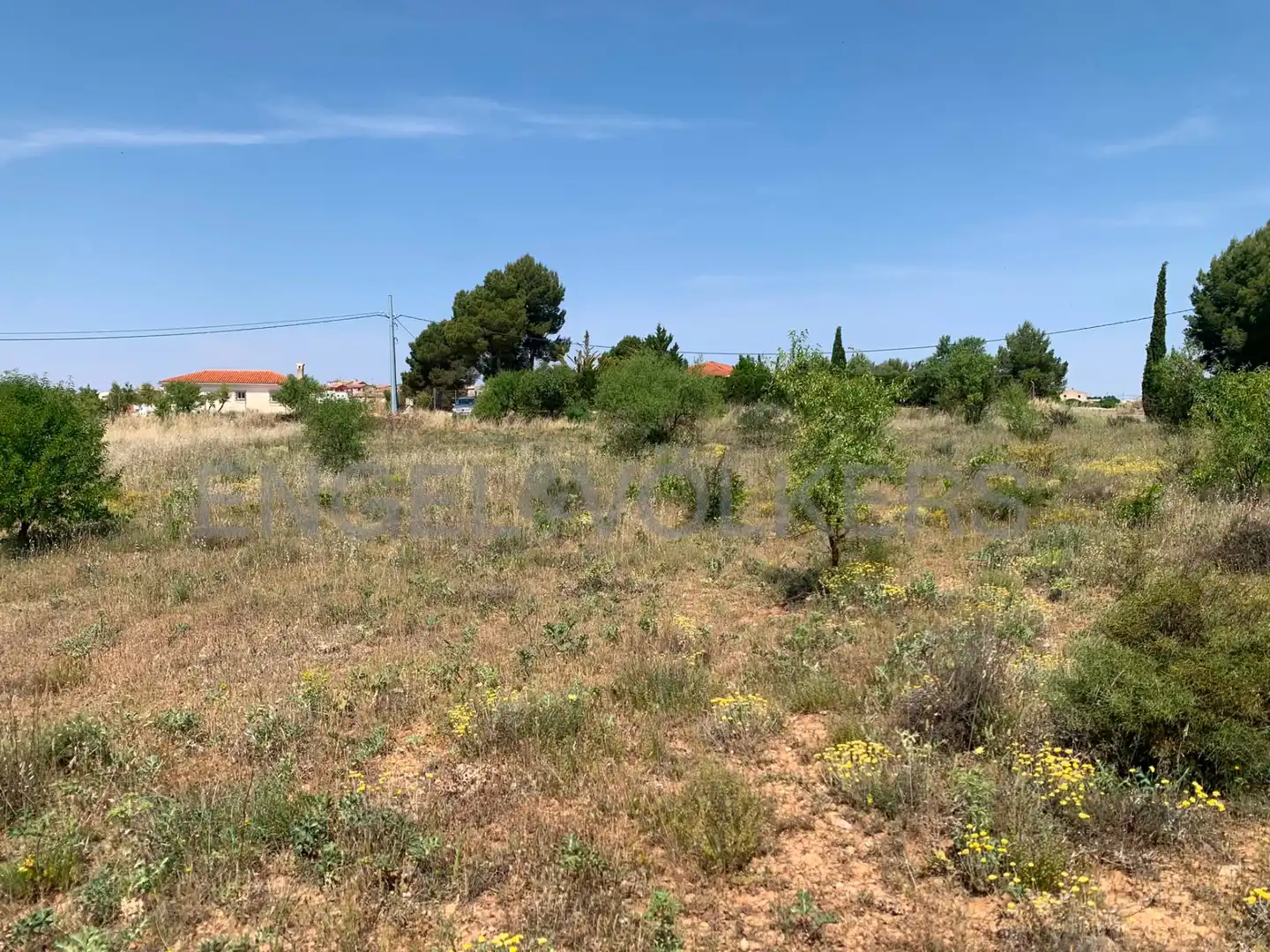 Terreny rústic en venda a Requena, imagen 20