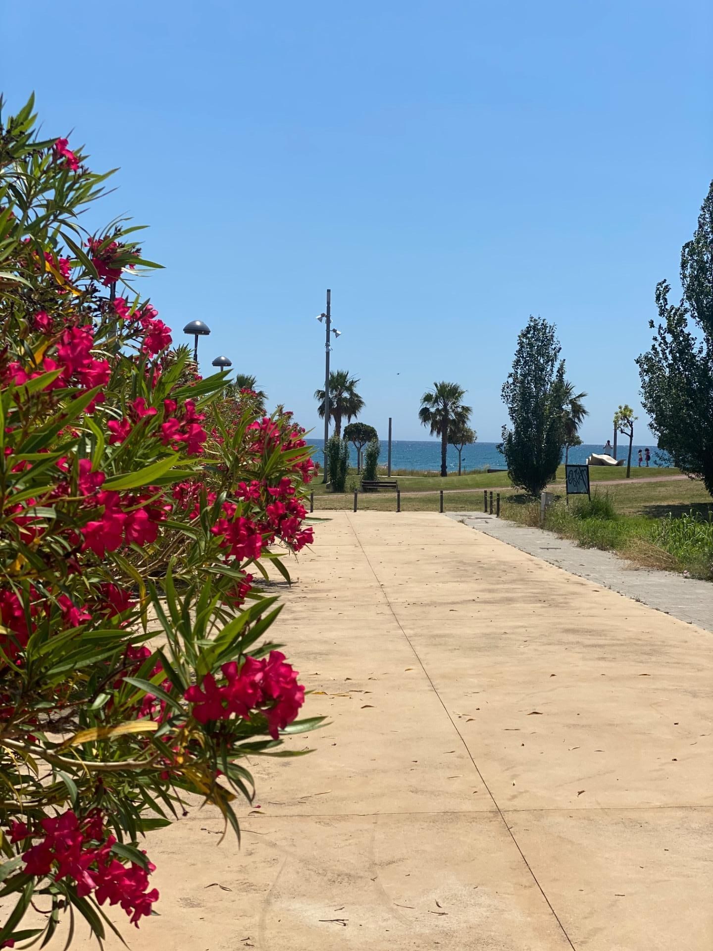 Exterior view of Residential for sale in Cambrils