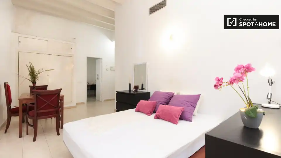 Wohnung zur Miete in Barri Gòtic