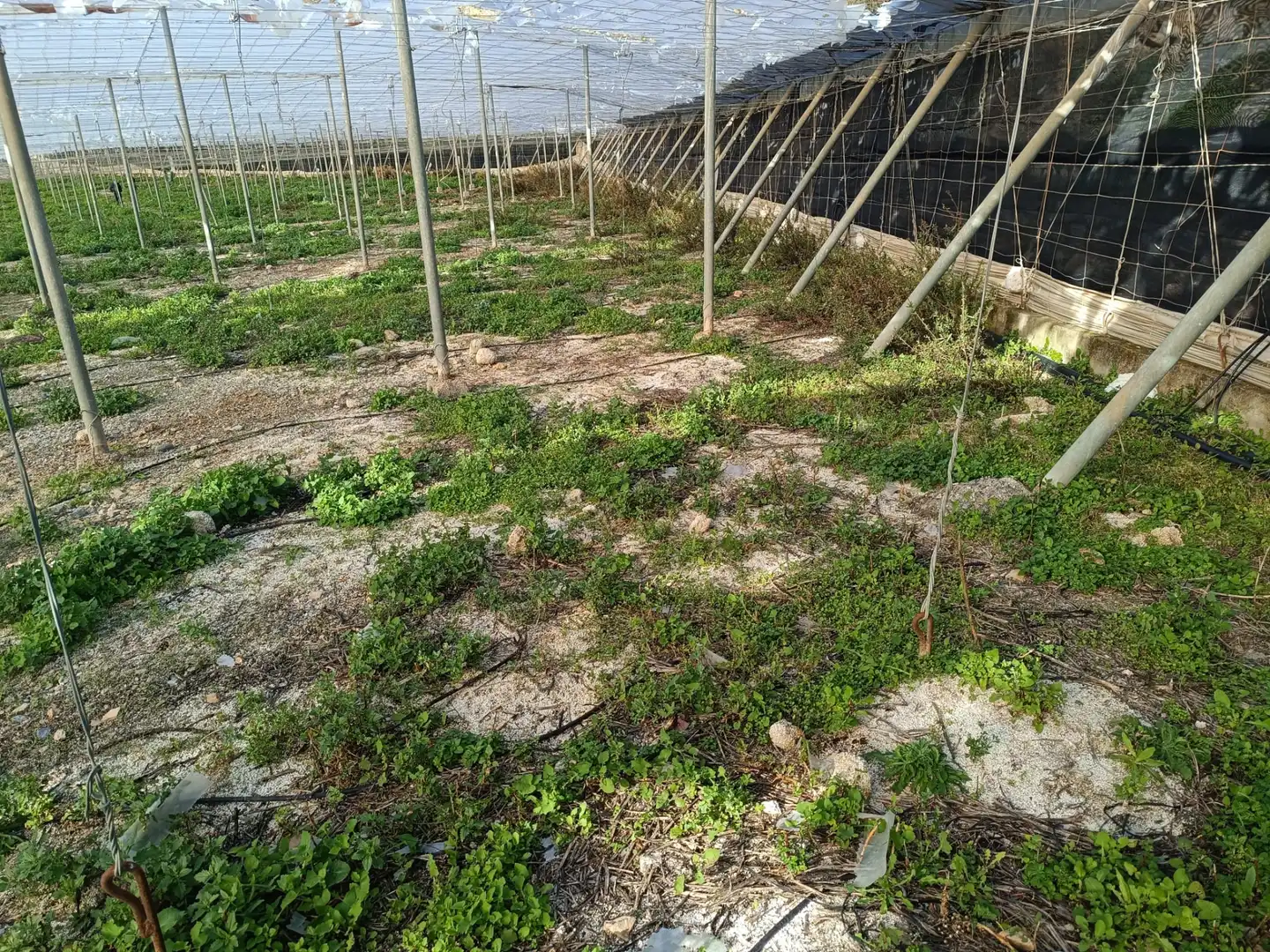 Rural land for sale in Motril  ciudad
