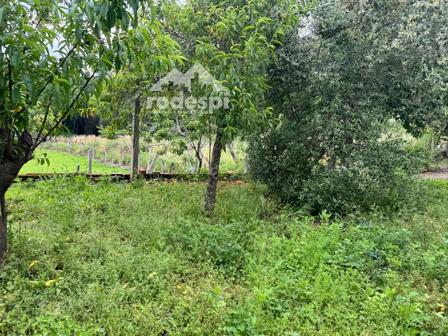 Casa o xalet en venda en Crecente amb Traster i Moblat