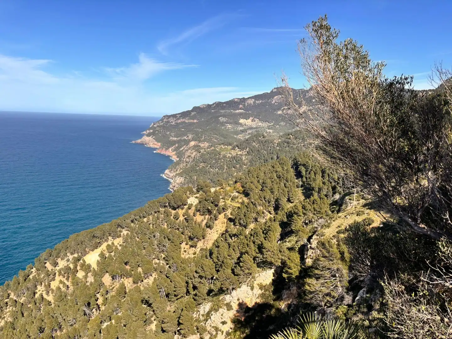 Land for sale in Estellencs