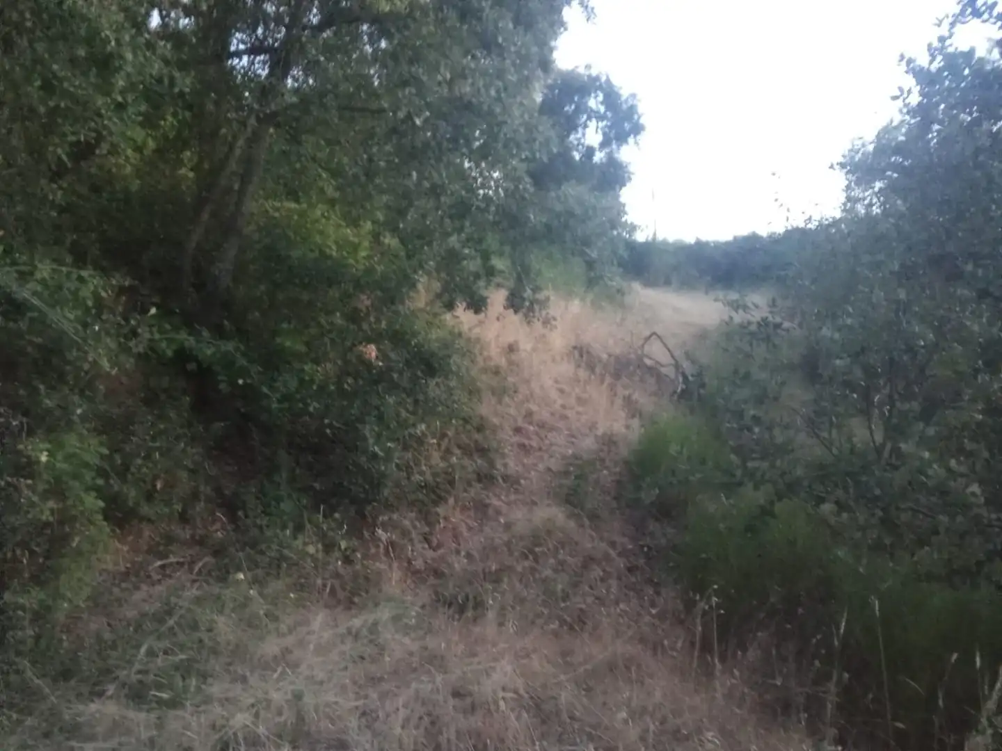 Residential land for sale in Valdenuño Fernández, imagen 10