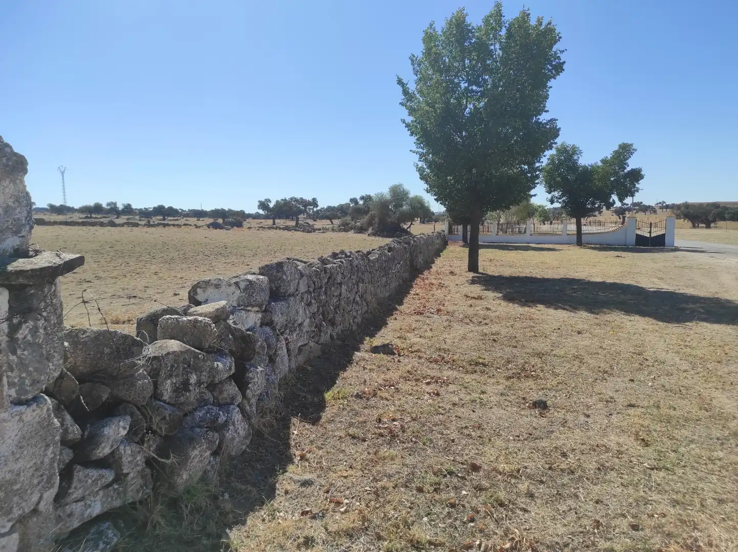 Terreny en venda a Avenida Virgen del Encinar, 1, Ceclavín