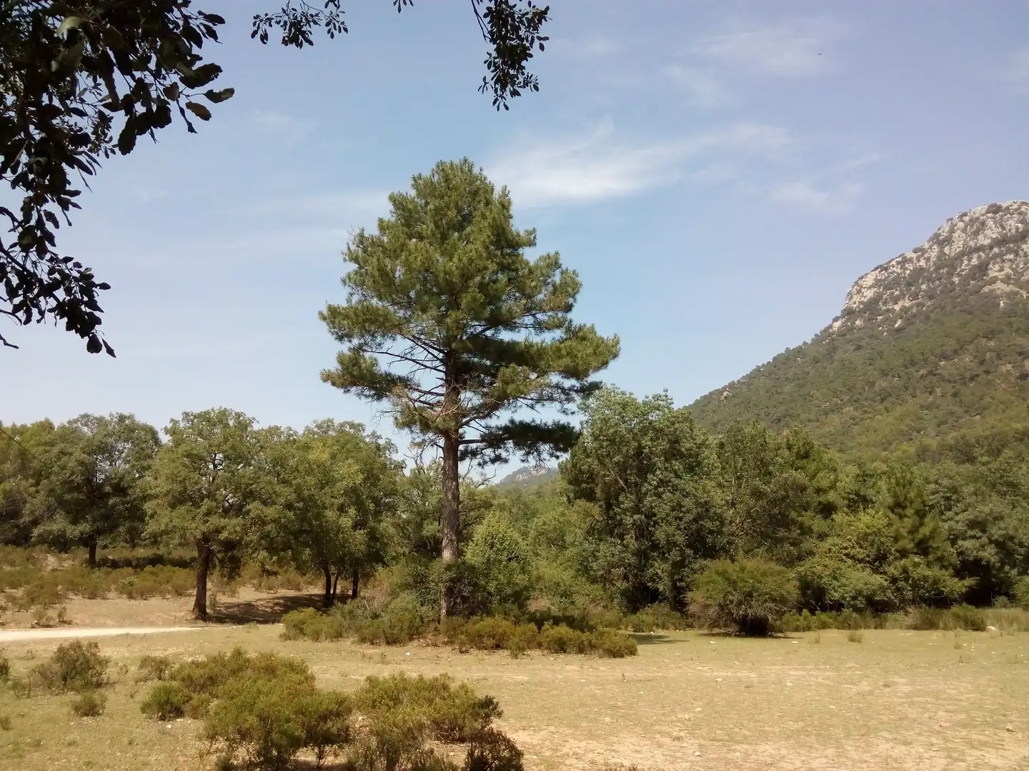 Terreni e lotti in vendita a La Iruela