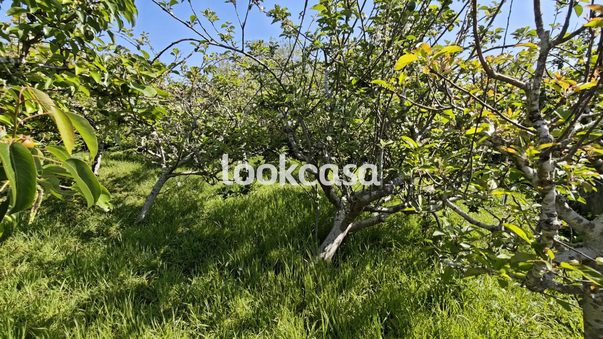 Casa o xalet en venda en Sanxenxo amb Calefacció, Jardí privat i Terrassa