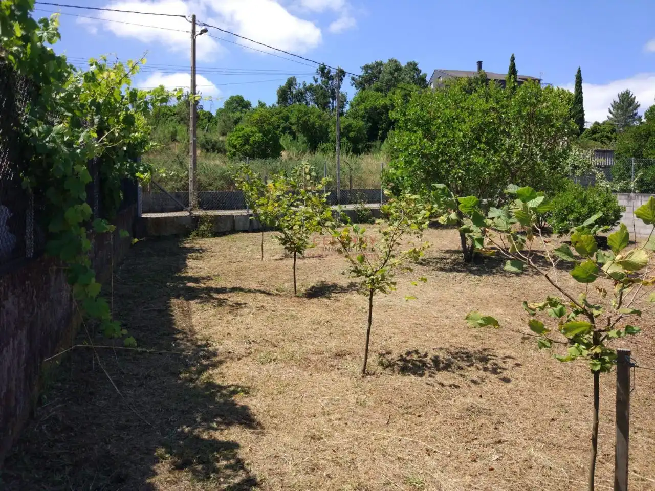 Terreni e lotti in vendita a San Cibrao das Viñas, imagen 3