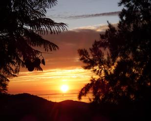 Vista exterior de Finca rústica en venda en Nerja amb Terrassa i Piscina