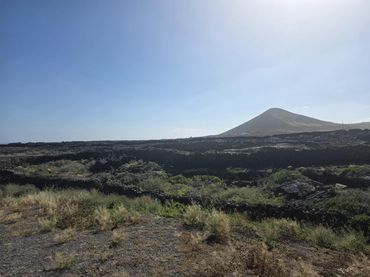 Residential land for sale in Tahiche