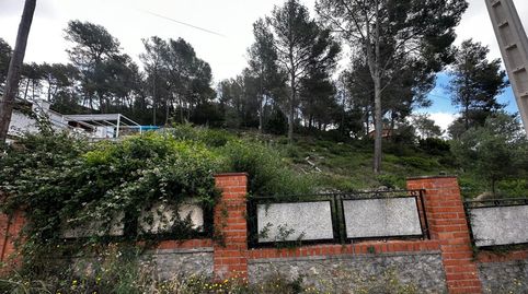 Immagine 2 dell'annuncio