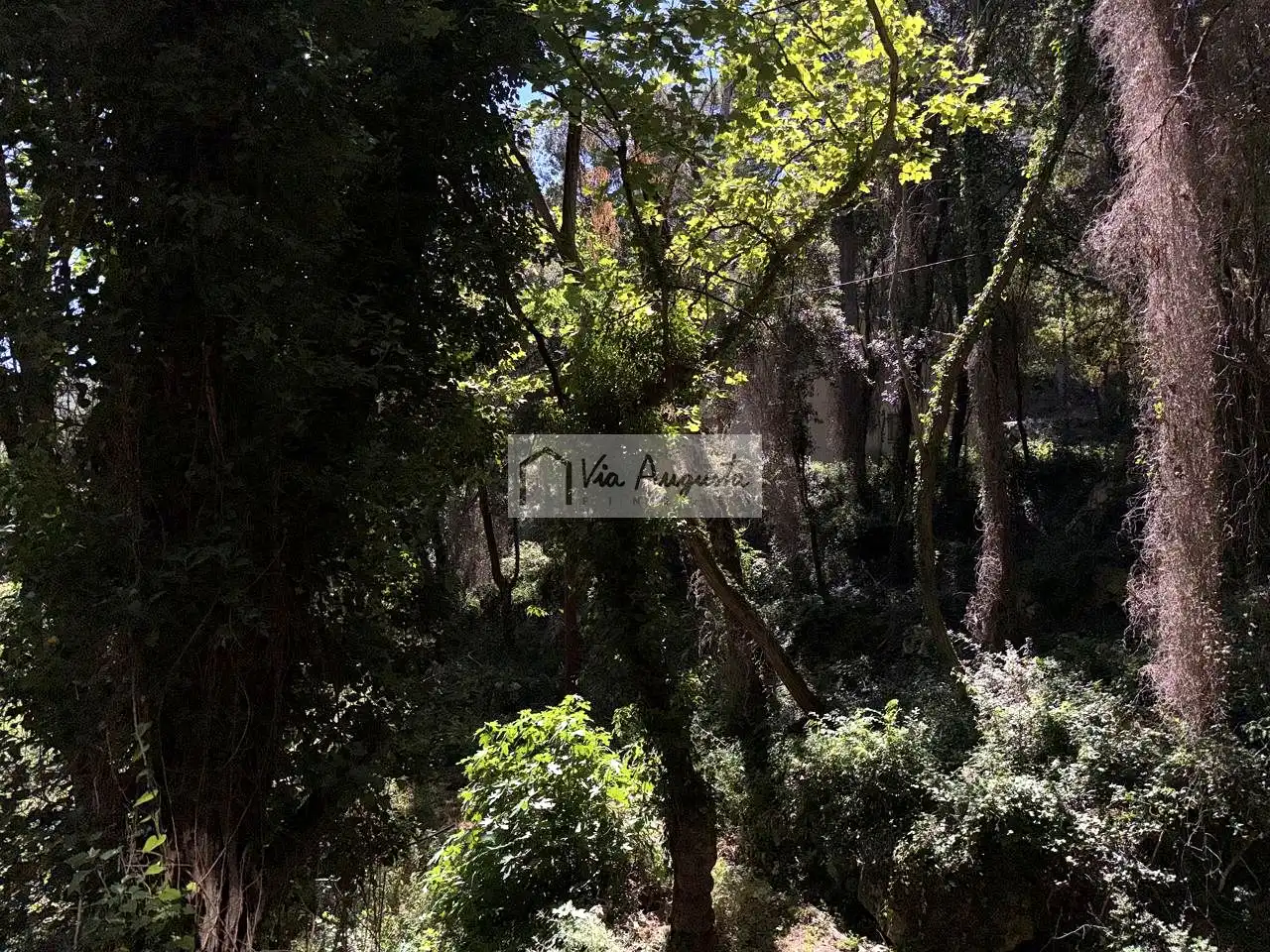 Casa o xalet en venda en Alfara de Carles amb Jardí privat, Terrassa i Balcó