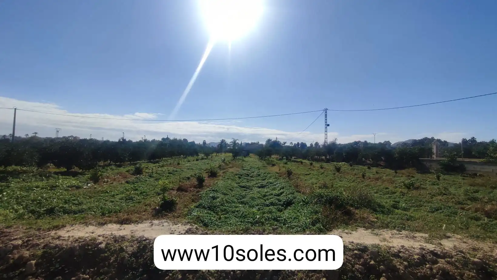 Terreno rustico in vendita a Jacarilla, imagen 16