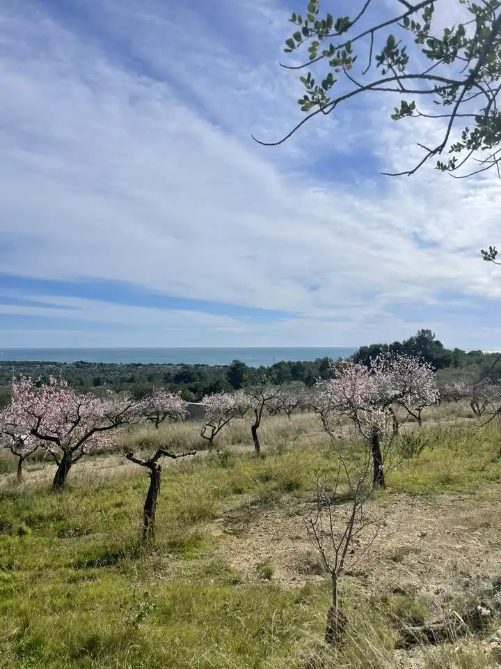 Finca rústica en venta en L'Ametlla de Mar 