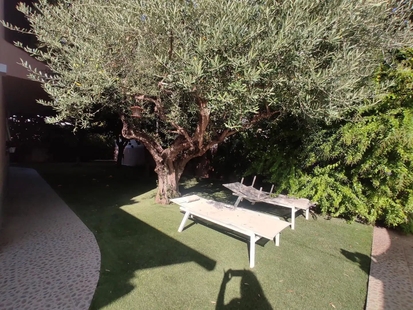 Jardí de Casa o xalet en venda en Castellón de la Plana / Castelló de la Plana amb Terrassa, Traster i Moblat