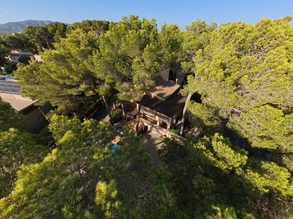 Garten von Haus oder Chalet zum Verkauf in Calvià mit Klimaanlage, Privatgarten und Terrasse