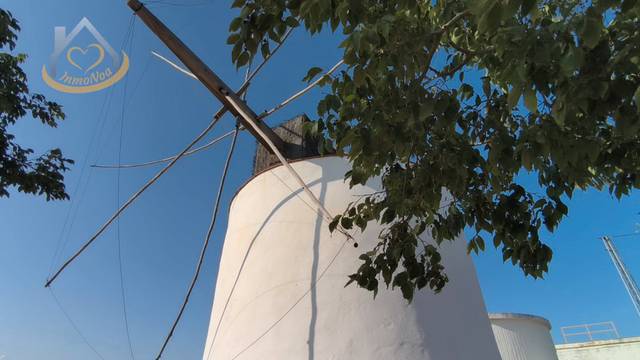 Terreno en Venta en Camino Cartaya de, 3 en San Silvestre de Guzmán