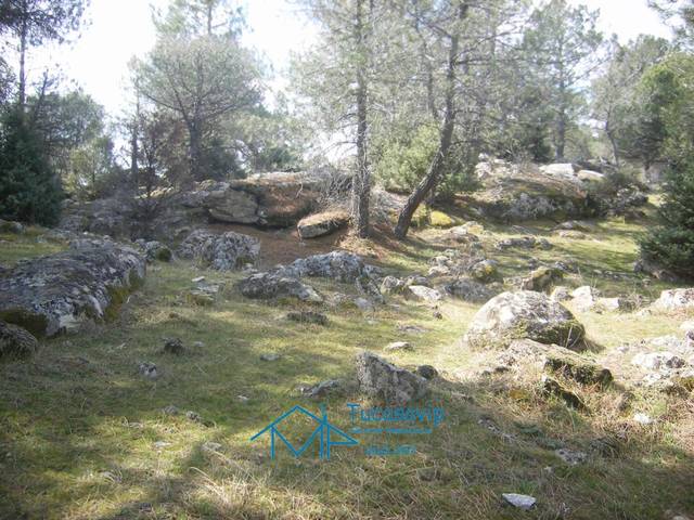 Terreno en Venta en Cebreros