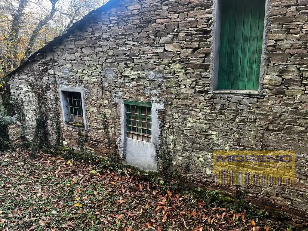 Vista exterior de Finca rústica en venta en O Incio 