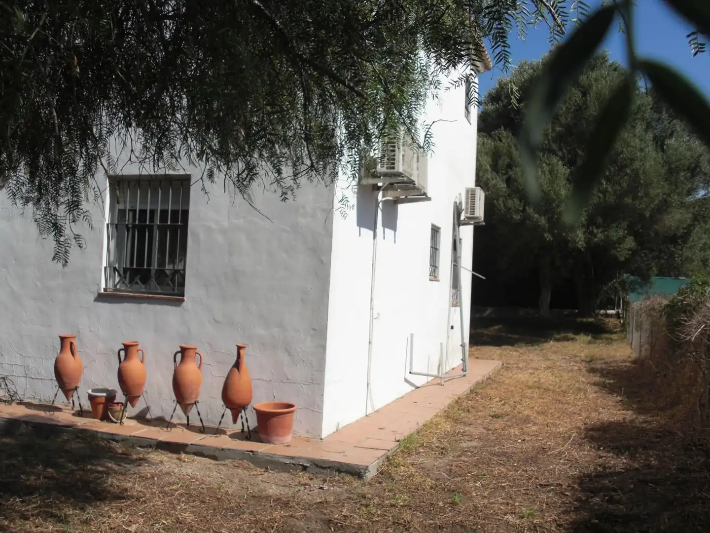 Jardí de Casa o xalet en venda en Chiclana de la Frontera amb Terrassa