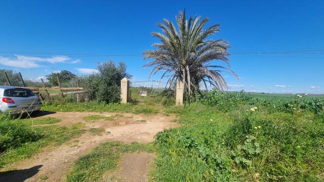 Terreno en Venta en Carretera Carretera de Almensilla a Mairena en Nuevo Bulevar