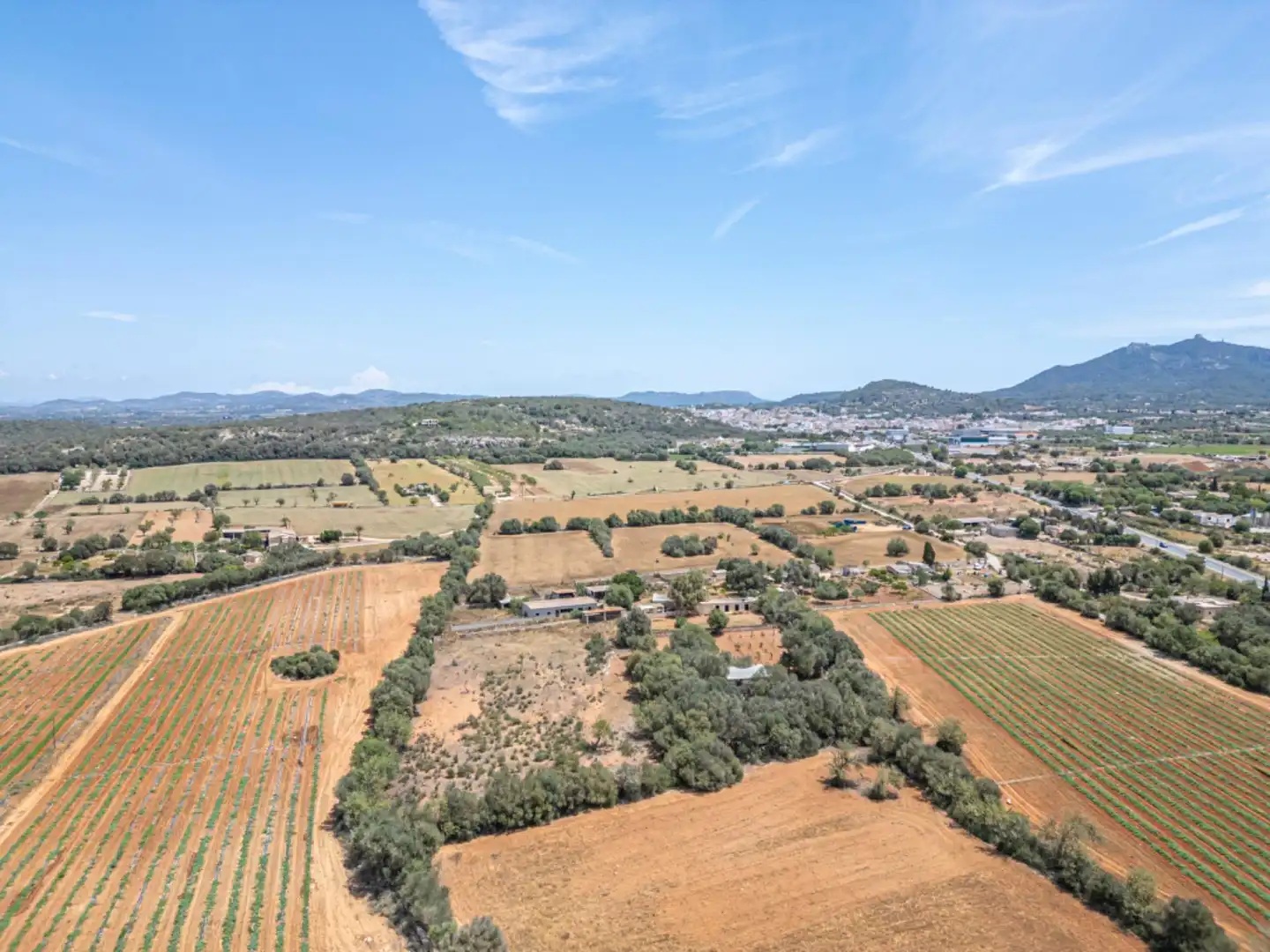 Terreno rustico in vendita a Felanitx Poble, imagen 14