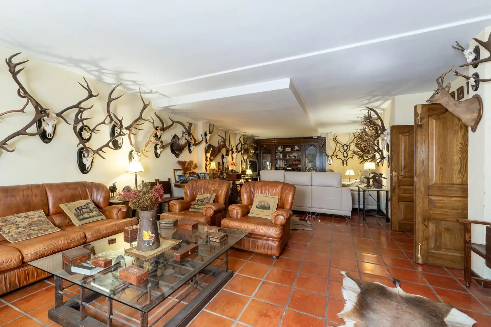 Sala d'estar de Casa o xalet en venda en Córdoba amb Aire condicionat, Calefacció i Jardí privat