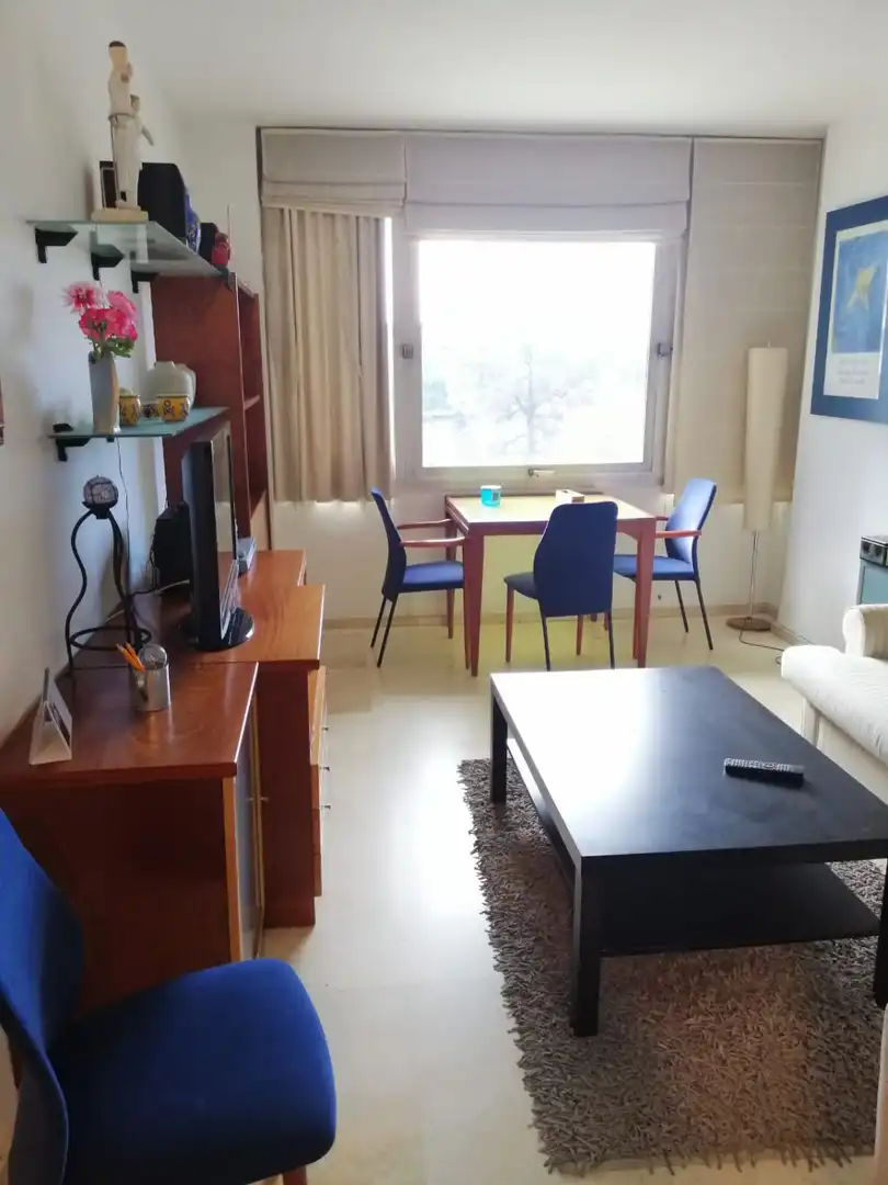 Wohnung zur Miete in RUIZ DE ALDA, Parque María Luisa -Giralda Sur